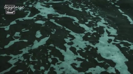 Paul Van Dyk ft. Arty - The Ocean [high quality]