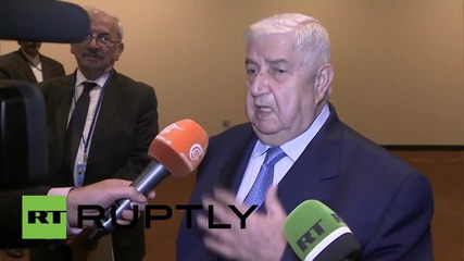 USA: Reports of Russian airstrikes targeting civilians are lies, says FM Muallem
