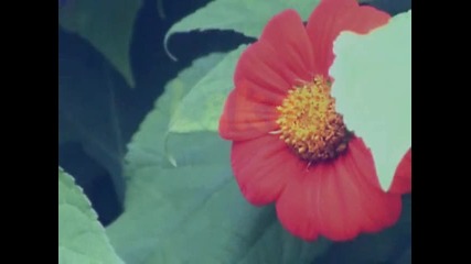 something 