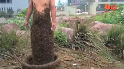Мъж се покрива с 330 000 пчели