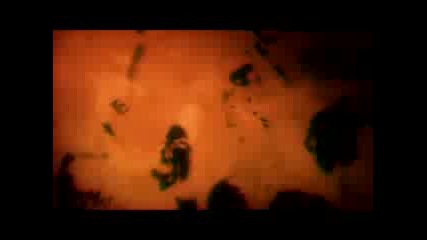 Danko Jones - Don`t Fall Inlove