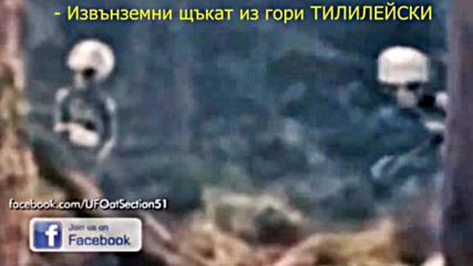 Нло: Извънземни щъкат из гори Тилилейски