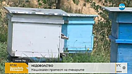 Пчеларите излизат на национален протест