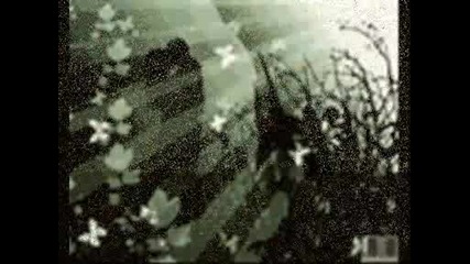 Movie.wmv