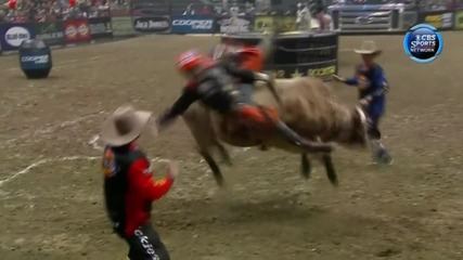 Austin Meier vs. White Velvet