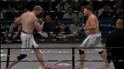 Roy Nelson vs Brad Imes