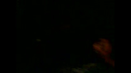 Mov00011.3gp