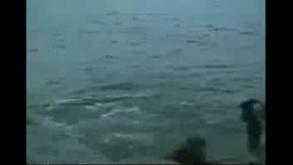 Рибар Пада Във Водата