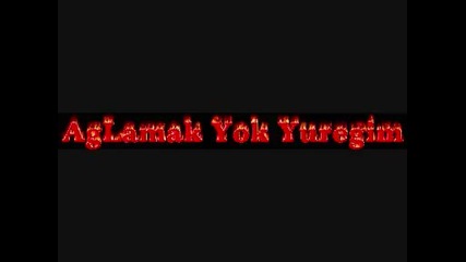 Damla - Aglamak Yok Yuregim (siir)