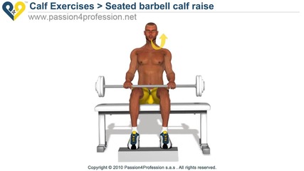 Seated barbell calf raise exercise