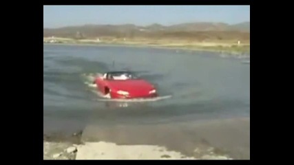 Колата - Амфибия