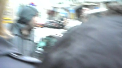 100 monkeys in Paris