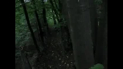 Сръбски 3 Цветни Гончета В Гатер- Stankosi