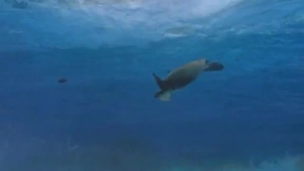 Time to Follow - Chillout Music by Marcome 