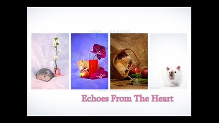 Deep Blue & Jorge Nava - Echoes From The Heart (platen & Clarks remix) 