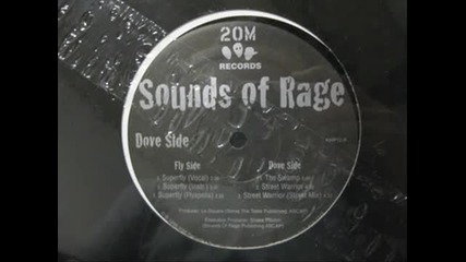 Sounds Of Rage - Street Warrior