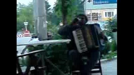 Muzikant Ot Shabla