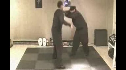 Руските бойни изкуства 