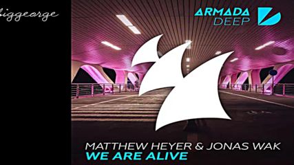 Matthew Heyer And Jonas Wak ft. Clement Bindzi - We Are Alive ( Radio Edit )