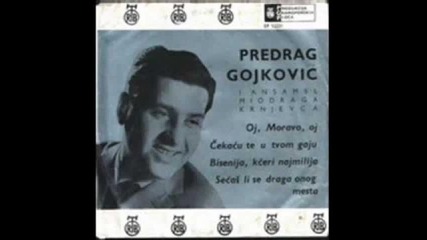 Predrag Cune Gojkovic - Ja bih hteo pesmom da ti kazem