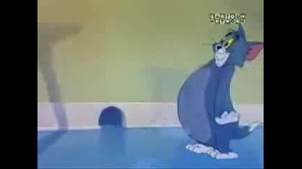 Tom and Jerry (bg Parody)