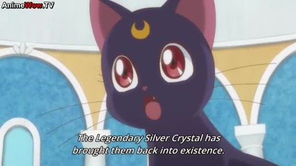 Pretty Guardian Sailor Moon Crystal Episode 14 English Sub