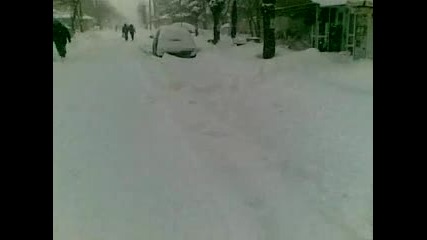 Царево 23.01.2010г.; 10:00: - 7, 7градуса