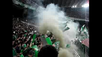 Ultras Panathinaikos