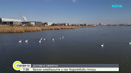 Зимно преброяване на птиците в района на Бургас