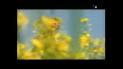 Illusions - Wind Of Change