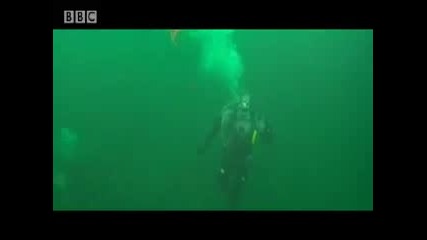 Гигантски октопод - Bbc (изключителни животни)