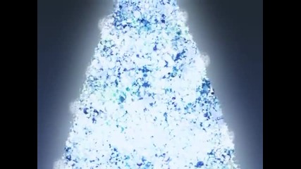 Yuki Kaai - White Present 