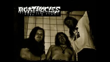 Agathocles - Gear-wheels