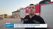 Пожарът в Хасковско вече е локализиран