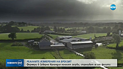 Фермерите от Северна Ирландия понасят загуби, страхуват се от фалити
