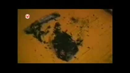 Поредната доза смях 