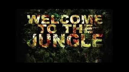 Welcome To The Jungle - Guns N'roses