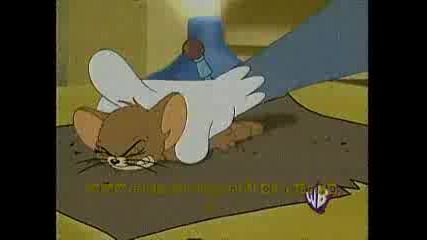 Tom & Jerry