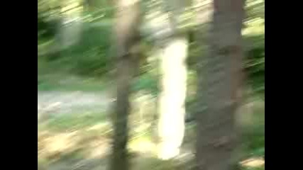 Mov02714 