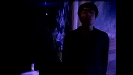 Oasis - Morning Glory