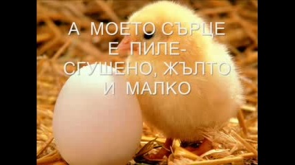 Цеца Ражнатович - Пиле