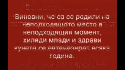 Жестокостта