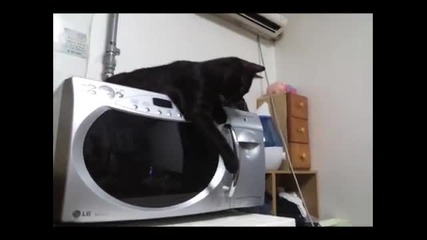 Не Пропуска Топчето