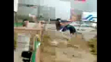 S.g.t - Beast sideflip , fron flip i webster