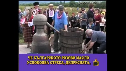 Объркани в ефира - Госпoдари на ефира