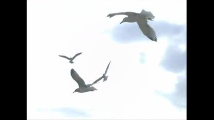 Музика за душата - Murmures by Richard Clayderman