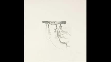 Jose Gonzalez - Abram 