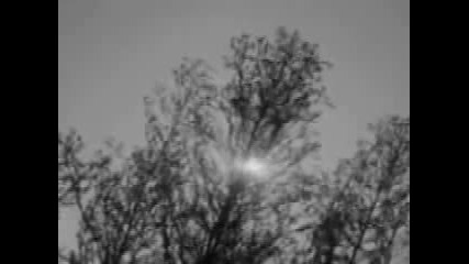 Wicked Game Cover 