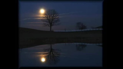 Snowy White - Midnight Blues