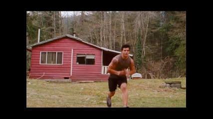 The Best of Taylor Lautner